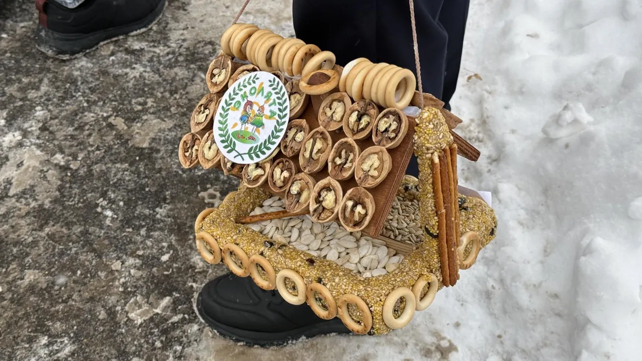 МедиаБанк Подмосковья/Анна Дука