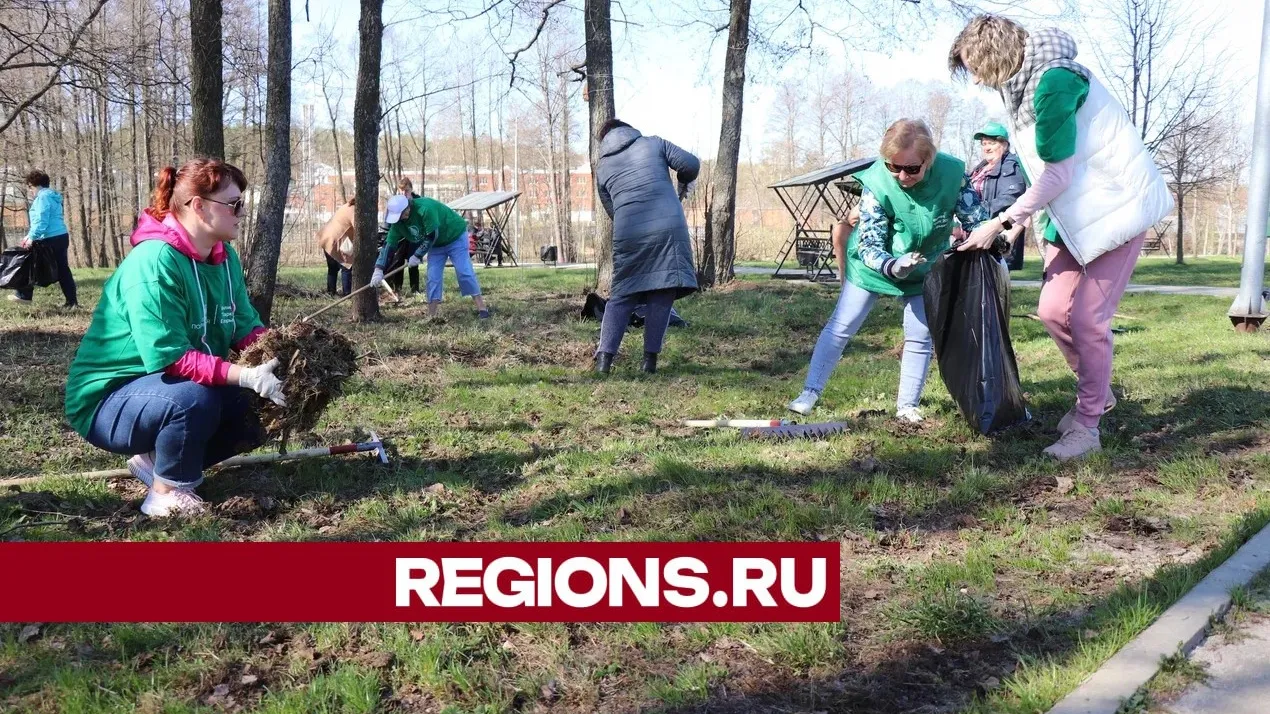 Фото: Василий Тремасов
