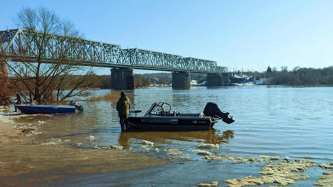 REGIONS/Алексей Селиверстов