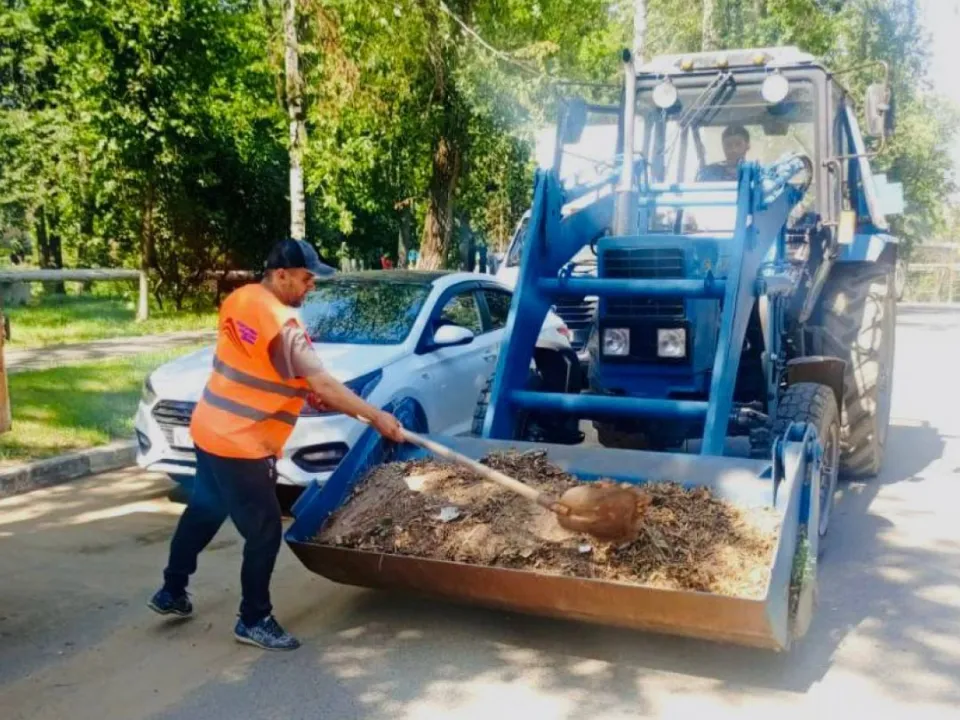 Фото: пресс-служба администрации г.о. Красногорск
