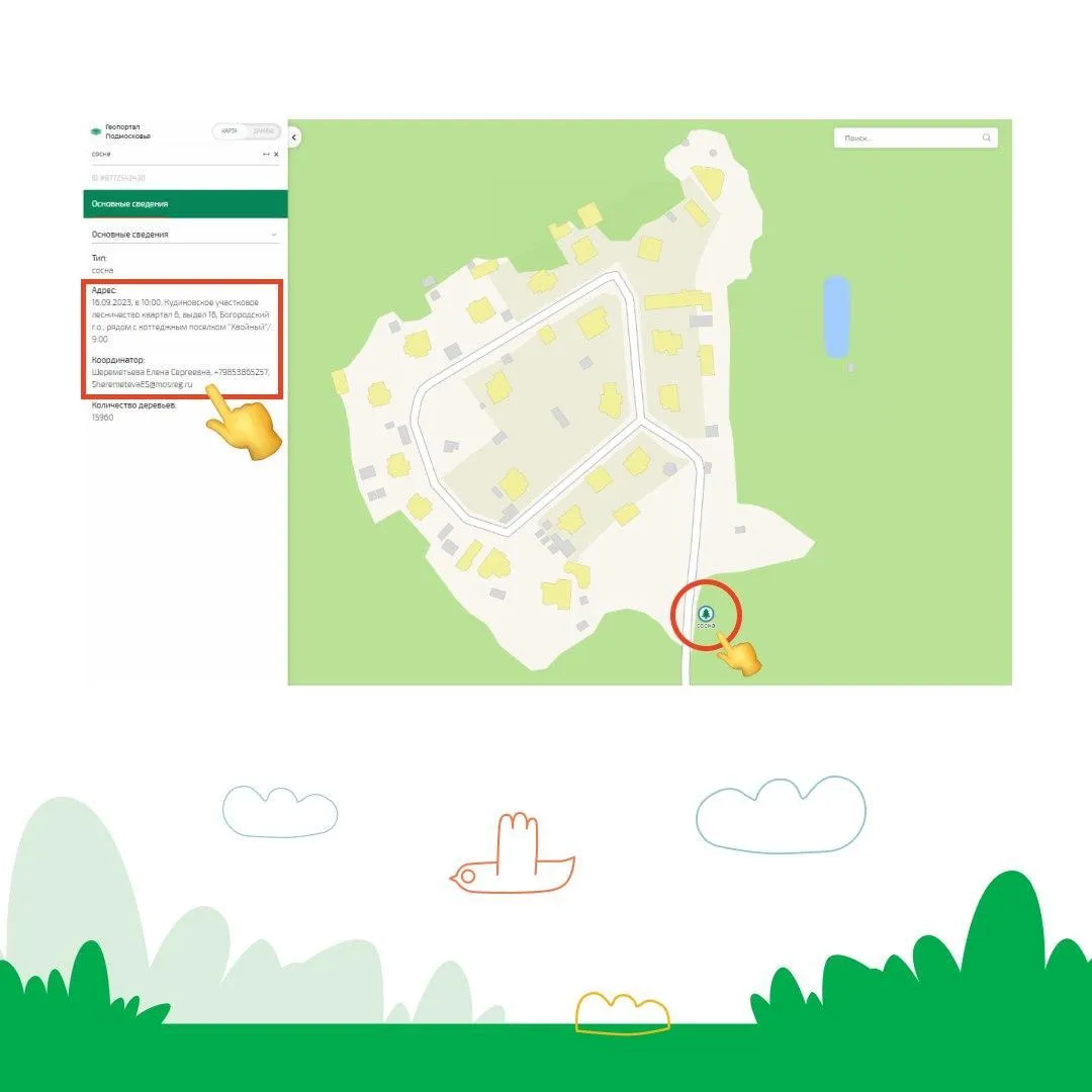 Фото: Комитет лесного хозяйства МО