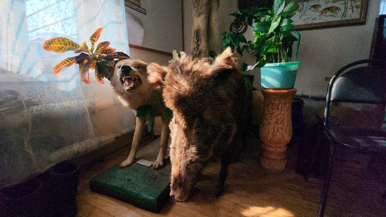 Маргарита Орлова