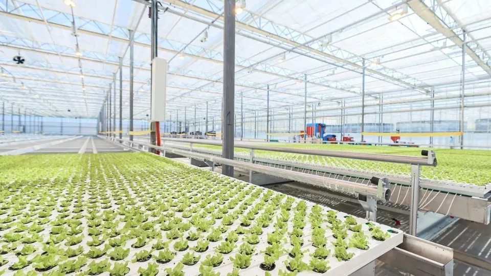 Фото: МедиаБанк Подмосковья/Светлана Плотникова