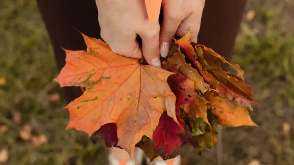 Фото: МедиаБанк Подмосковья/Ольга Егорычева
