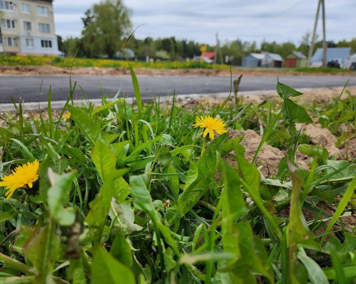 Фото: Яна Шаливская