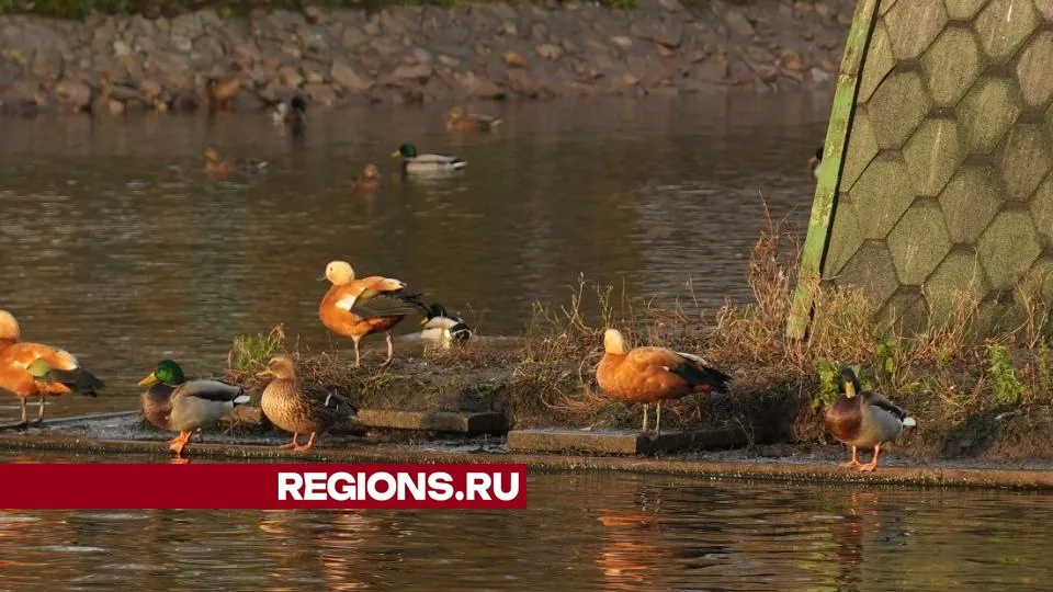 Фото: Дмитрий Зайчиков