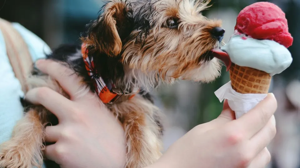 Фото: unsplash.com