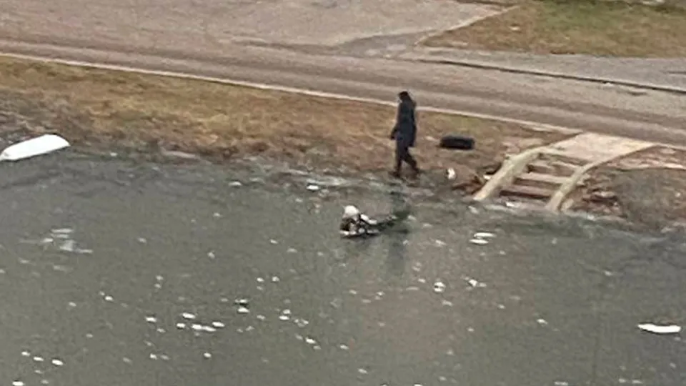 Фото: Марина М.