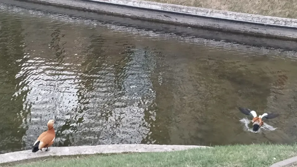 Фото: Олег Семенов