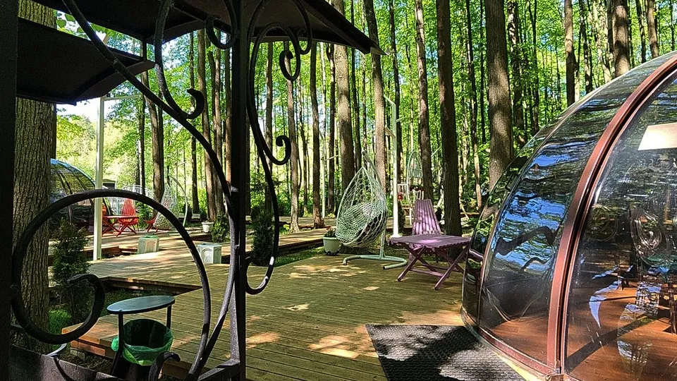 Фото: Нина Басистая