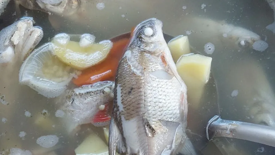 Фото: Василий Потапов