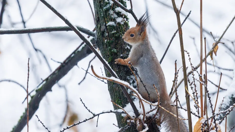 Фото: медиасток.рф