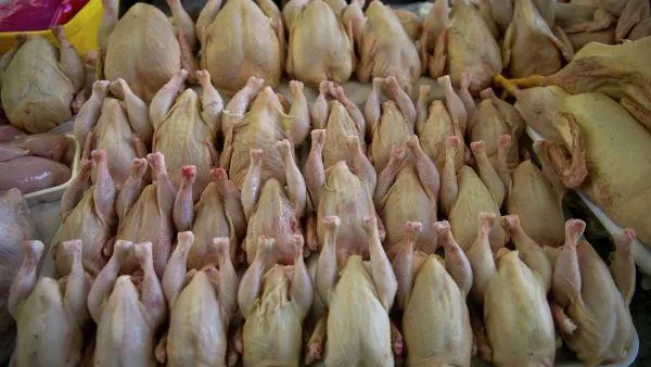 Птицефабрики могут отказаться от производства премиальной продукции