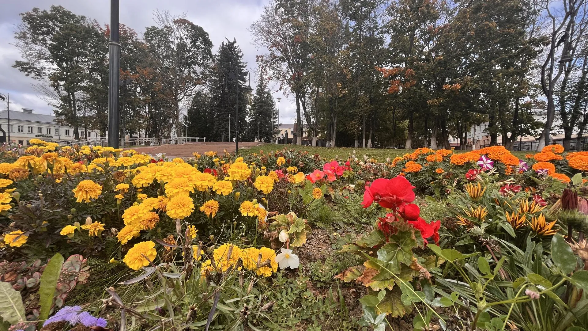 Екатерина Данилина