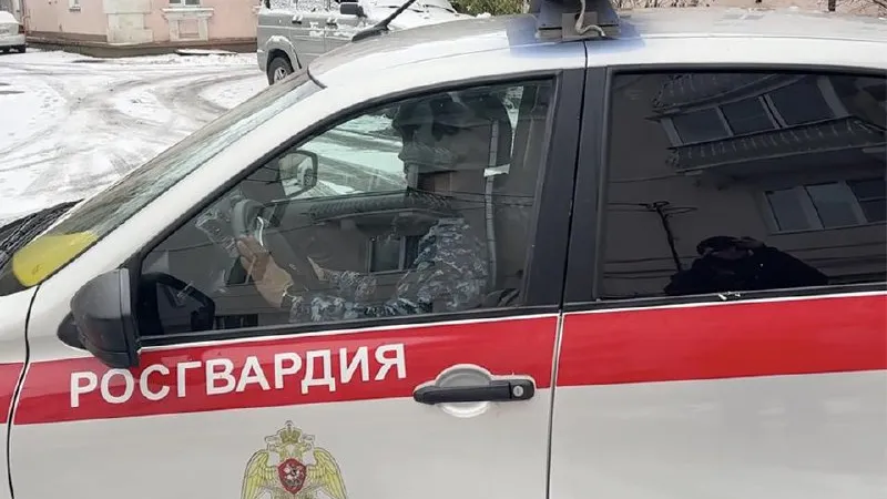 Фото: МедиаБанк Подмосковья/Евгения Герасимова