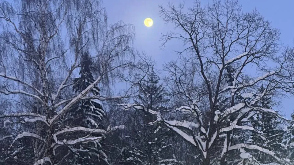 REGIONS/Виктория Джамалова