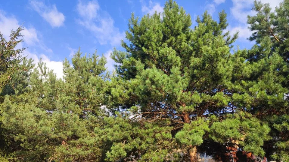 Фото: REGIONS/Елена Забелина