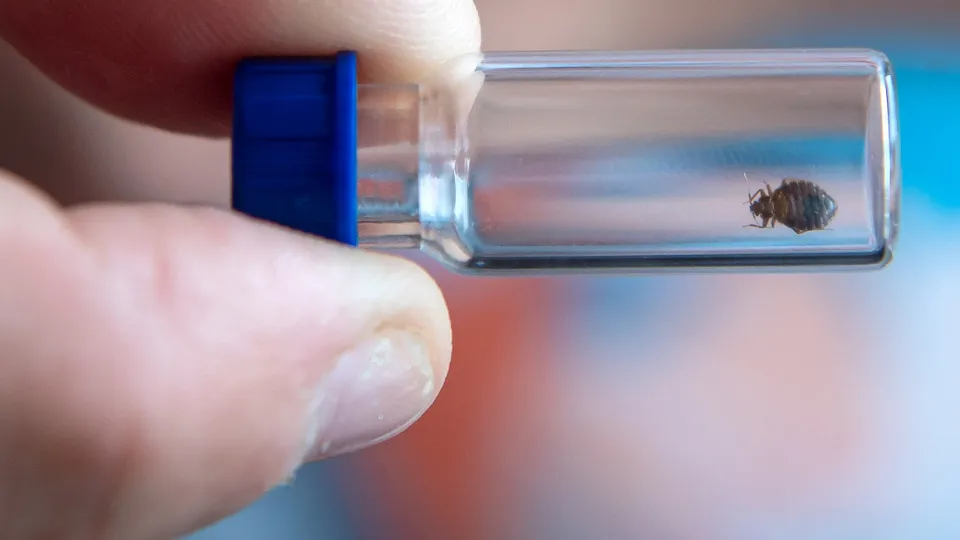 Фото: ТАСС/DPA/Picture-Alliance/Sina Schuldt