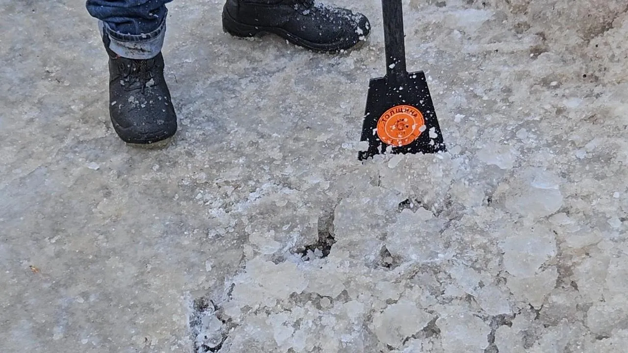 МедиаБанк Подмосковья/Ольга Вельшикаева