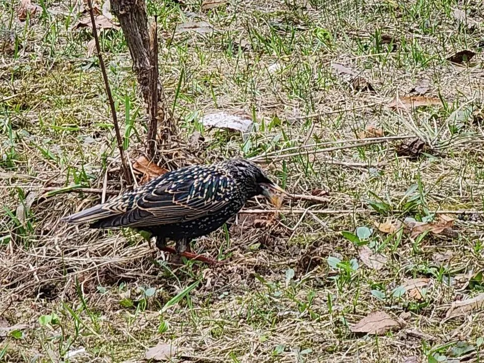 Фото: Наталья Лымарь