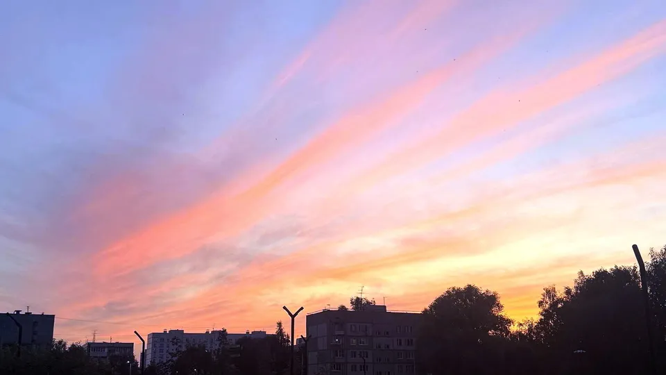 Фото: REGIONS/Дарья Кудинова