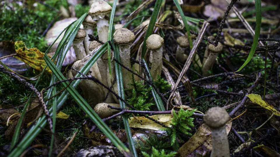 Фото: REGIONS/Роман Малышенко