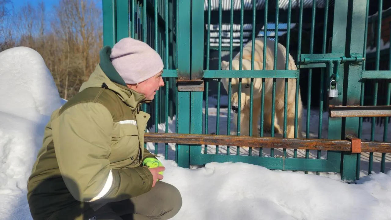 МедиаБанк Подмосковья/Дмитрий Беденко