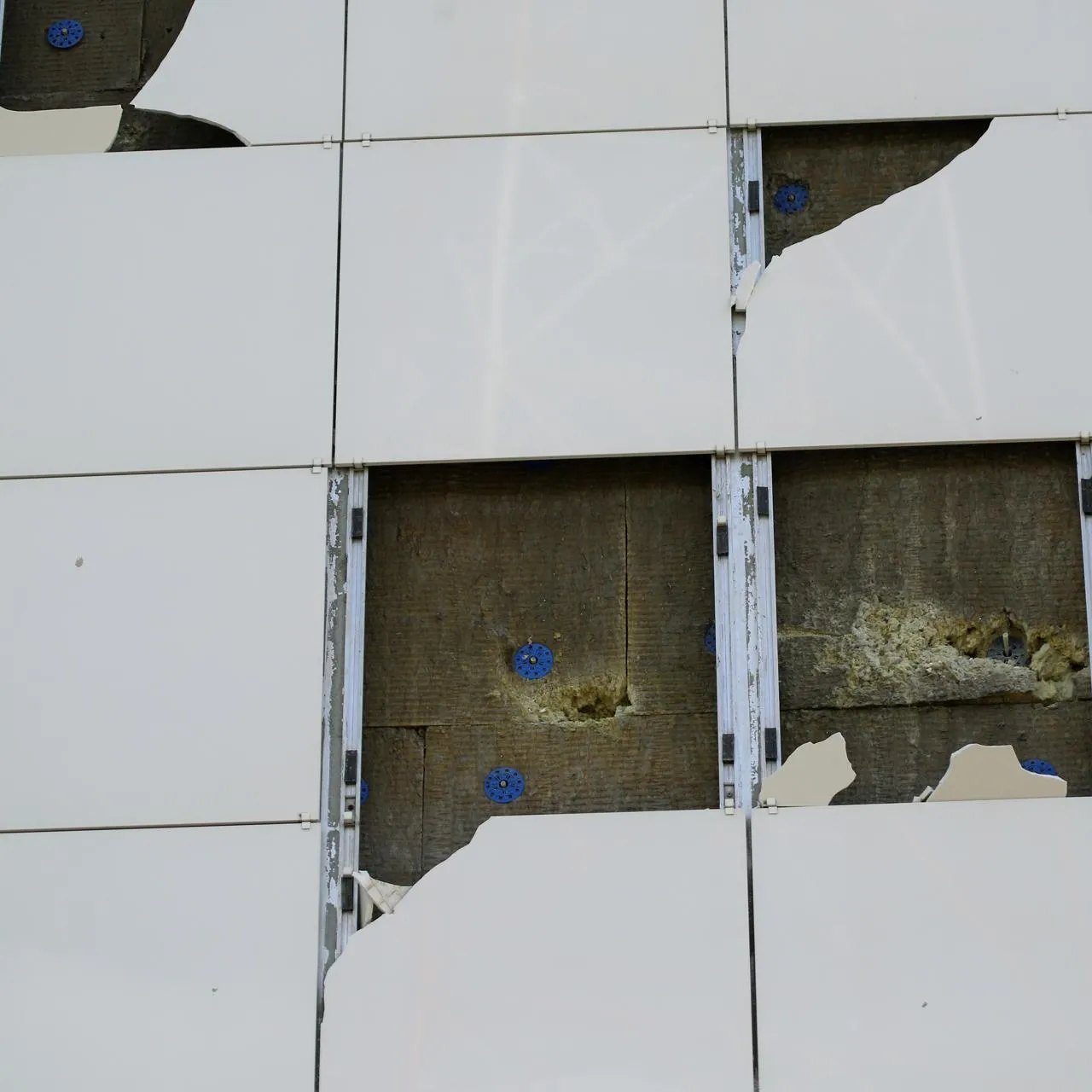 Nikolay Gyngazov/Global Look Press