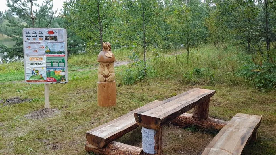 Фото: Комитет лесного хозяйства МО