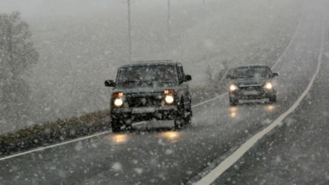 Фото: медиасток.рф