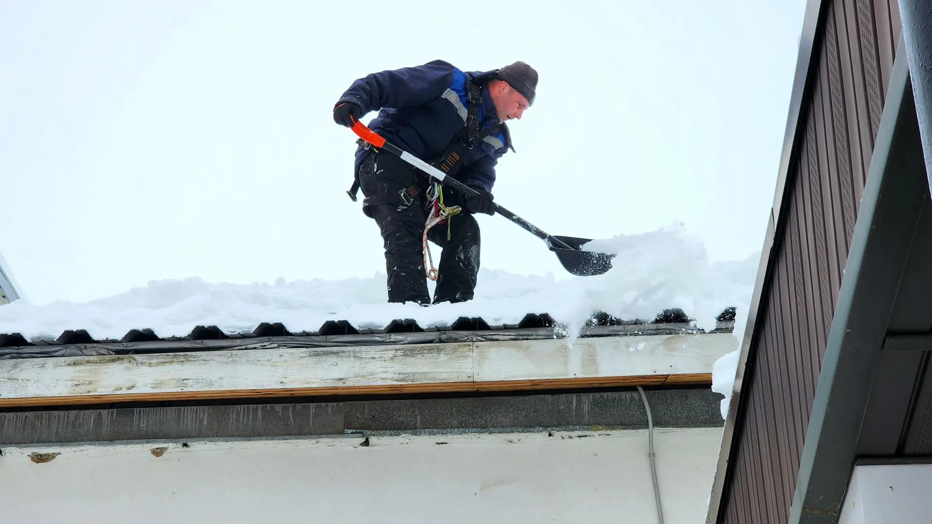 МедиаБанк Подмосковья/Юлия Унрау