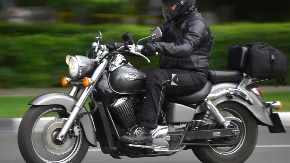 Фото: Фотобанк Московской области, Александр Кожохин