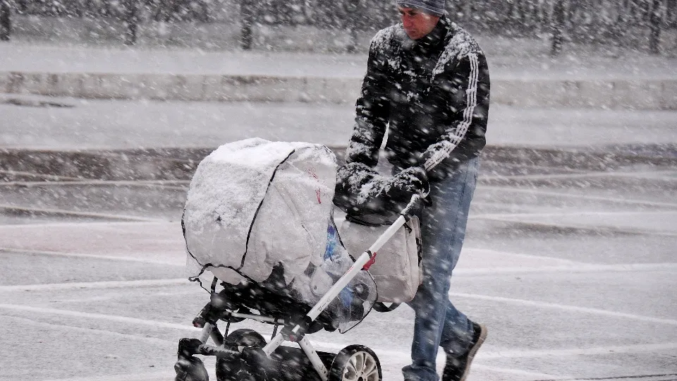 Фото: медиасток.рф