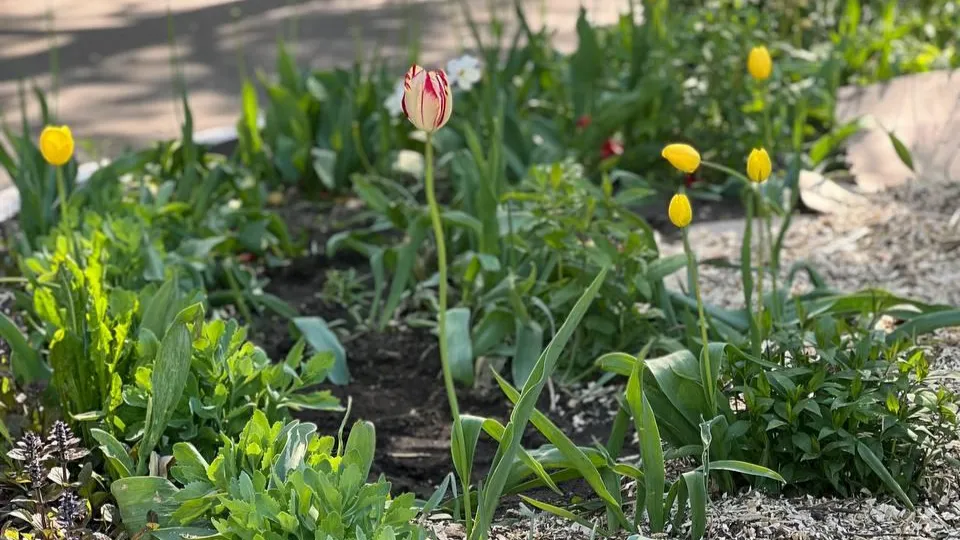Фото: пресс-служба МОДКТОБ/Елизавета Кукушкина