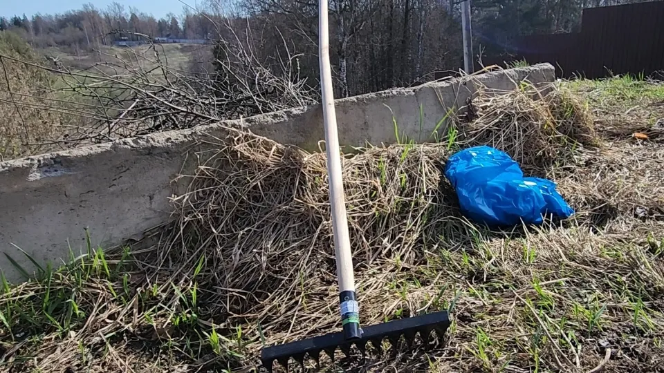 Фото: МедиаБанк Подмосковья/Иван Чижов