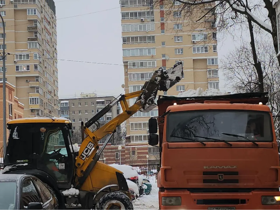 Фото: МедиаБанк Подмосковья/Наталья Лымарь