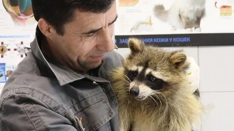 Фото: Минсельхозпрод МО