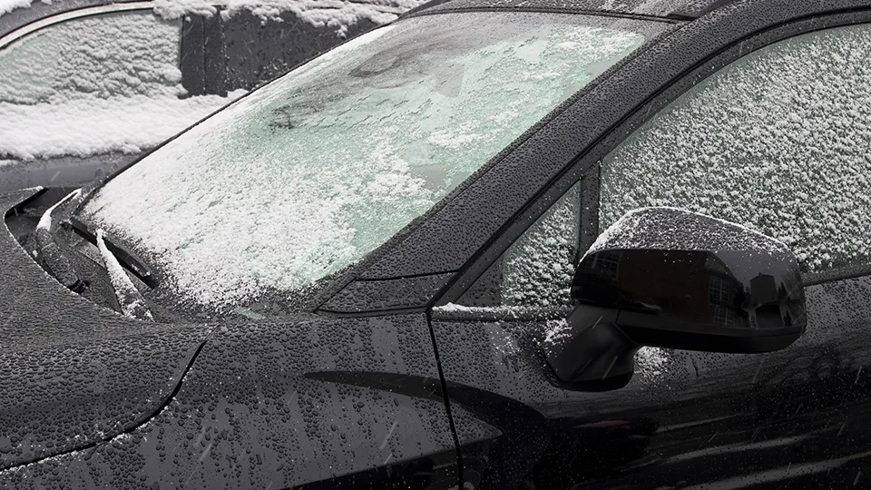 Фото: istockphoto.com