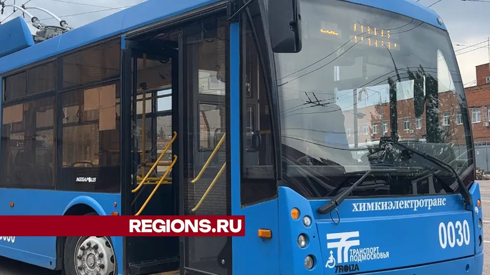 Фото: Валерия Ерофеева