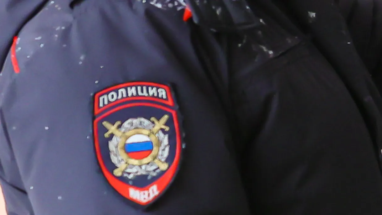 Фото: Медиаархив Подмосковья