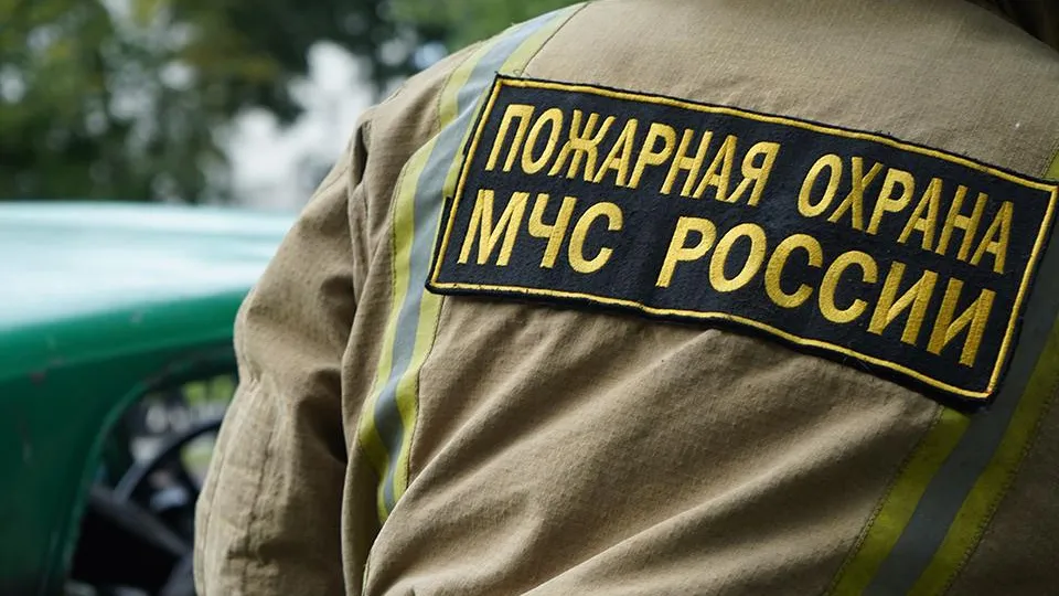 Фото: REGIONS/Анна Быкова