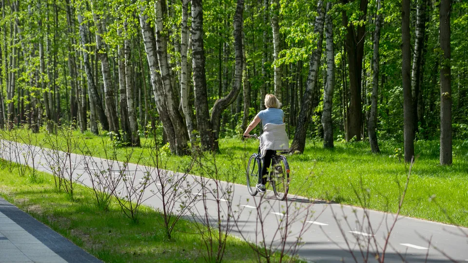 Фото: медиасток.рф