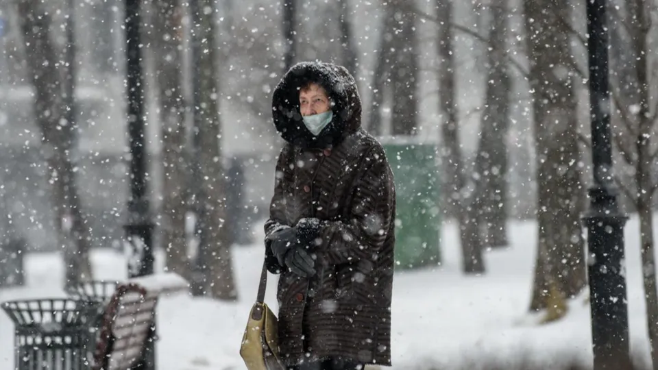 Фото: медиасток.рф