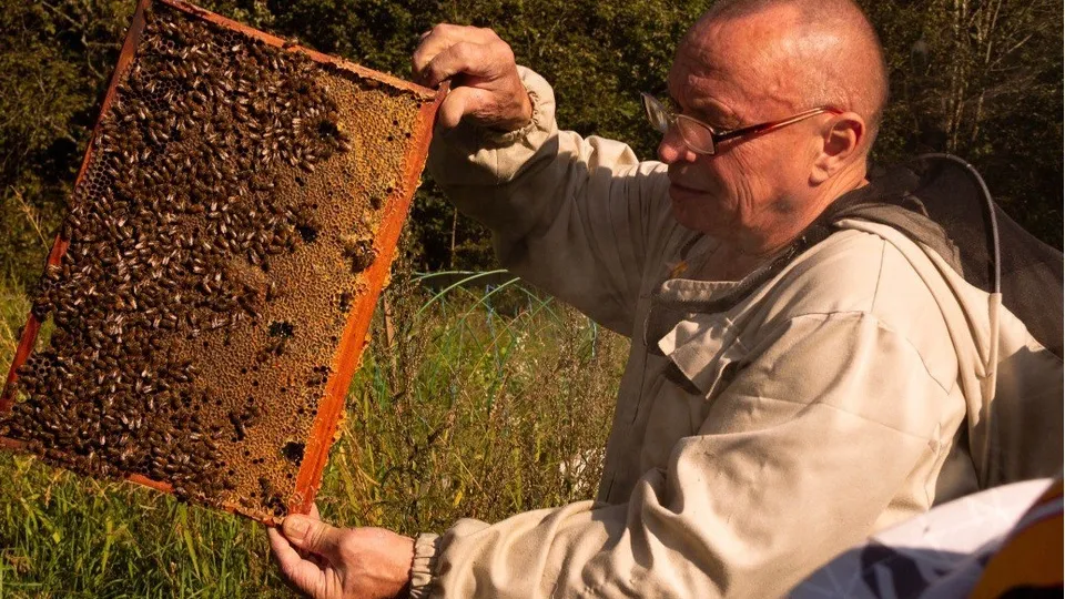 Фото: пресс-служба администрации г.о. Клин