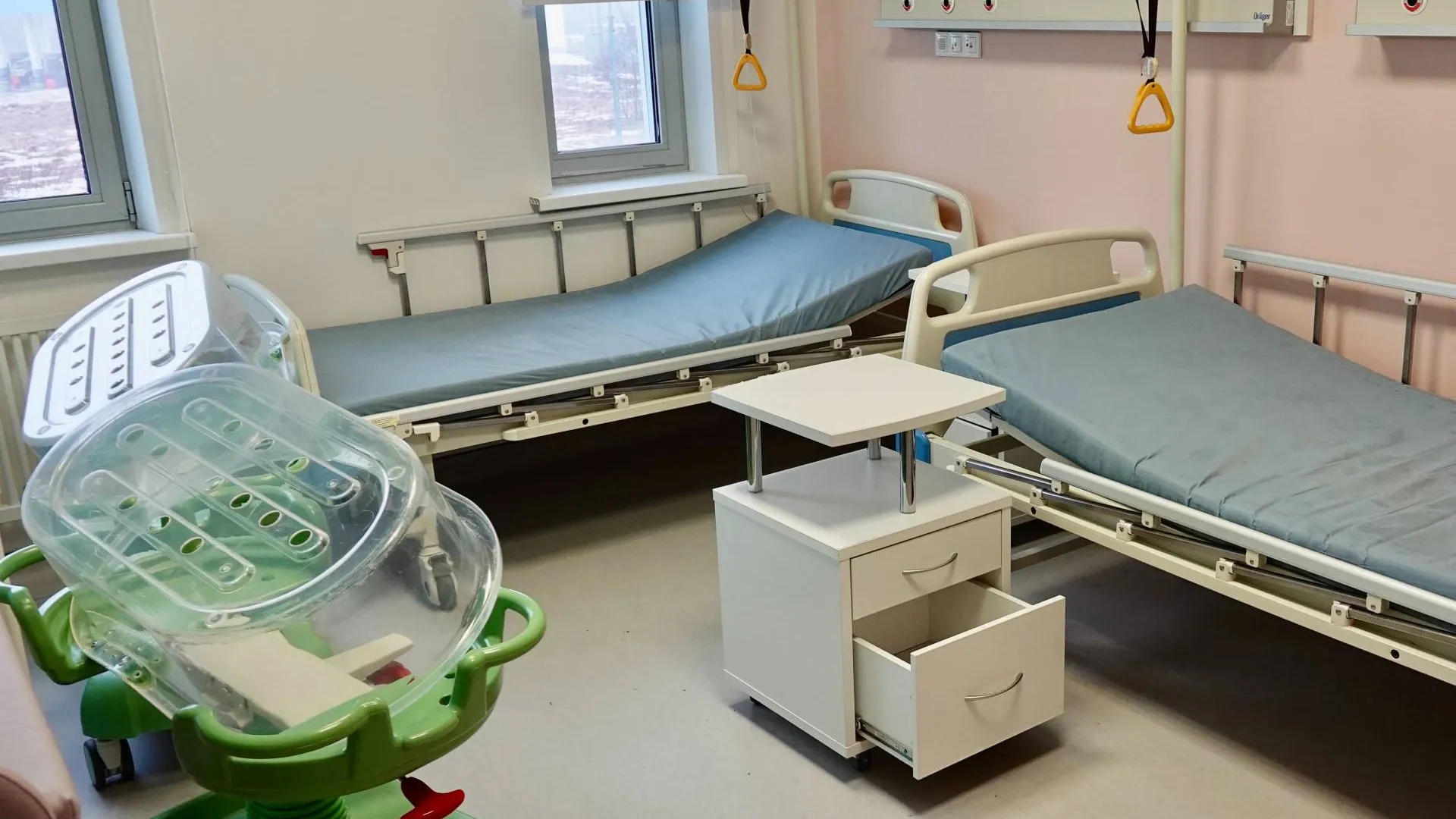 Фото: МедиаБанк Подмосковья/Дарья Леонова