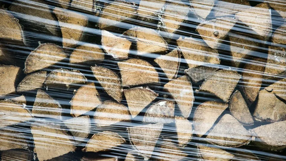 Фото: REGIONS/Владимир Ерастов