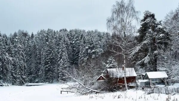 Климатолог рассказала, какой будет зима в России