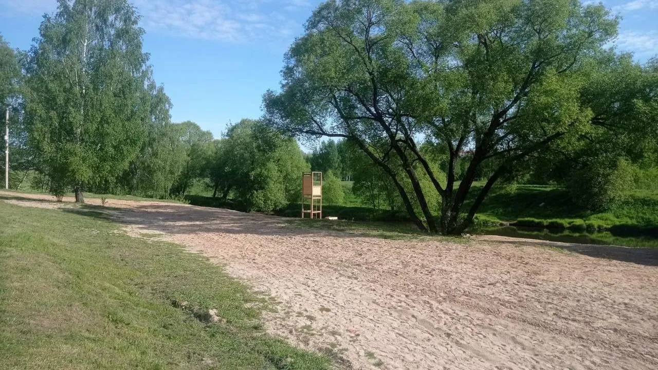 Фото: vk.com/Администрация городского округа Истра