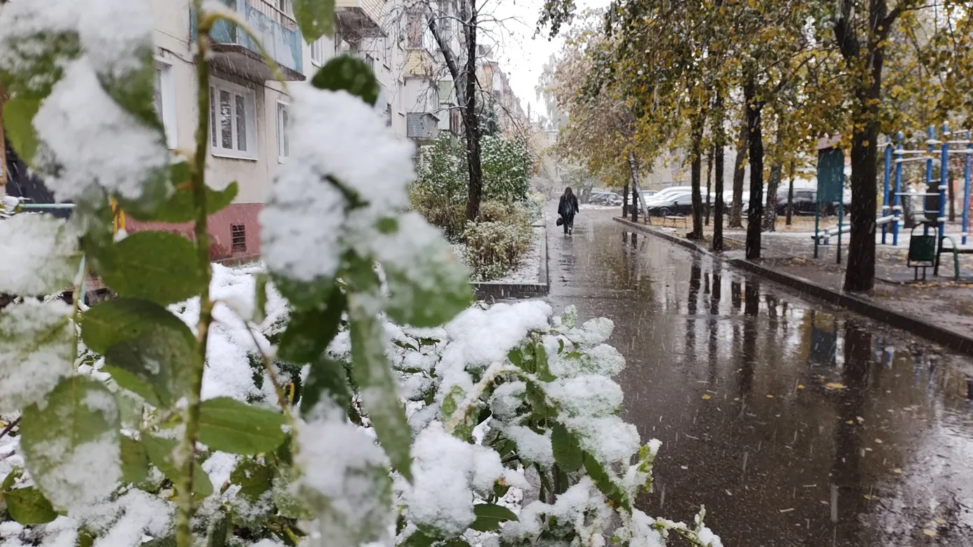 Фото: REGIONS/Алексей Селиверстов