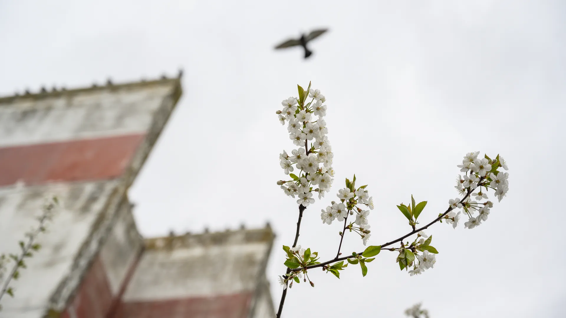 медиасток.рф